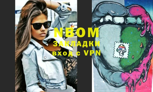 индика Нея