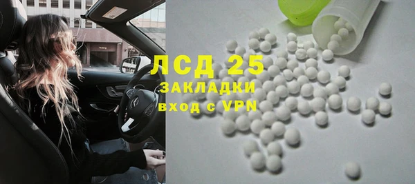 шишки Надым