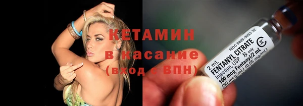 индика Нея