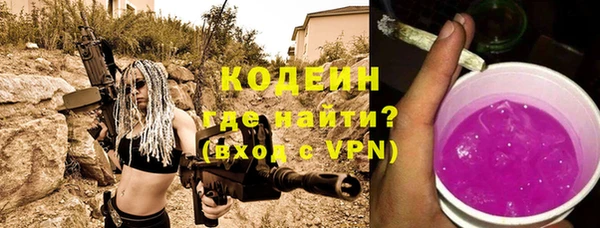 индика Нея