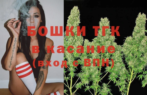 индика Нея