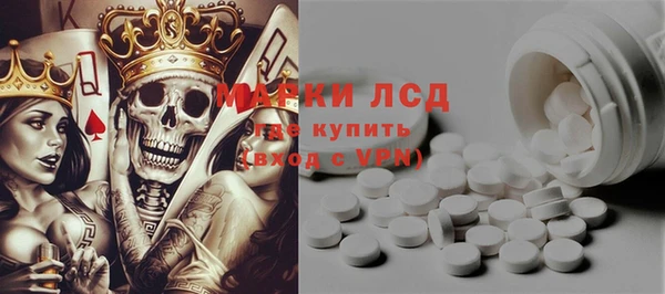 шишки Надым