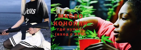 индика Нея
