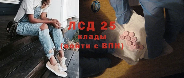 индика Нея